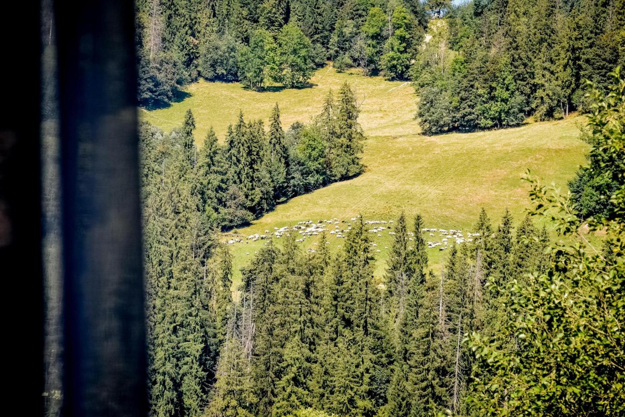 Apartmán Rysiowka Poronin Exteriér fotografie